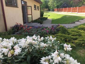 Фото номера Коттедж с 6 спальнями Дома для отпуска Dzintara Pirts г. Vilgāle 32